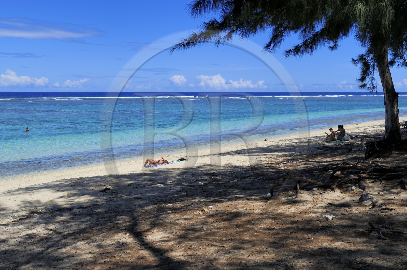 France, île de la Réunion, la Cote Ouest, plage du lagon de Saint-Gilles-Les-Bains à l'Ermitage-les-Bains et filaos