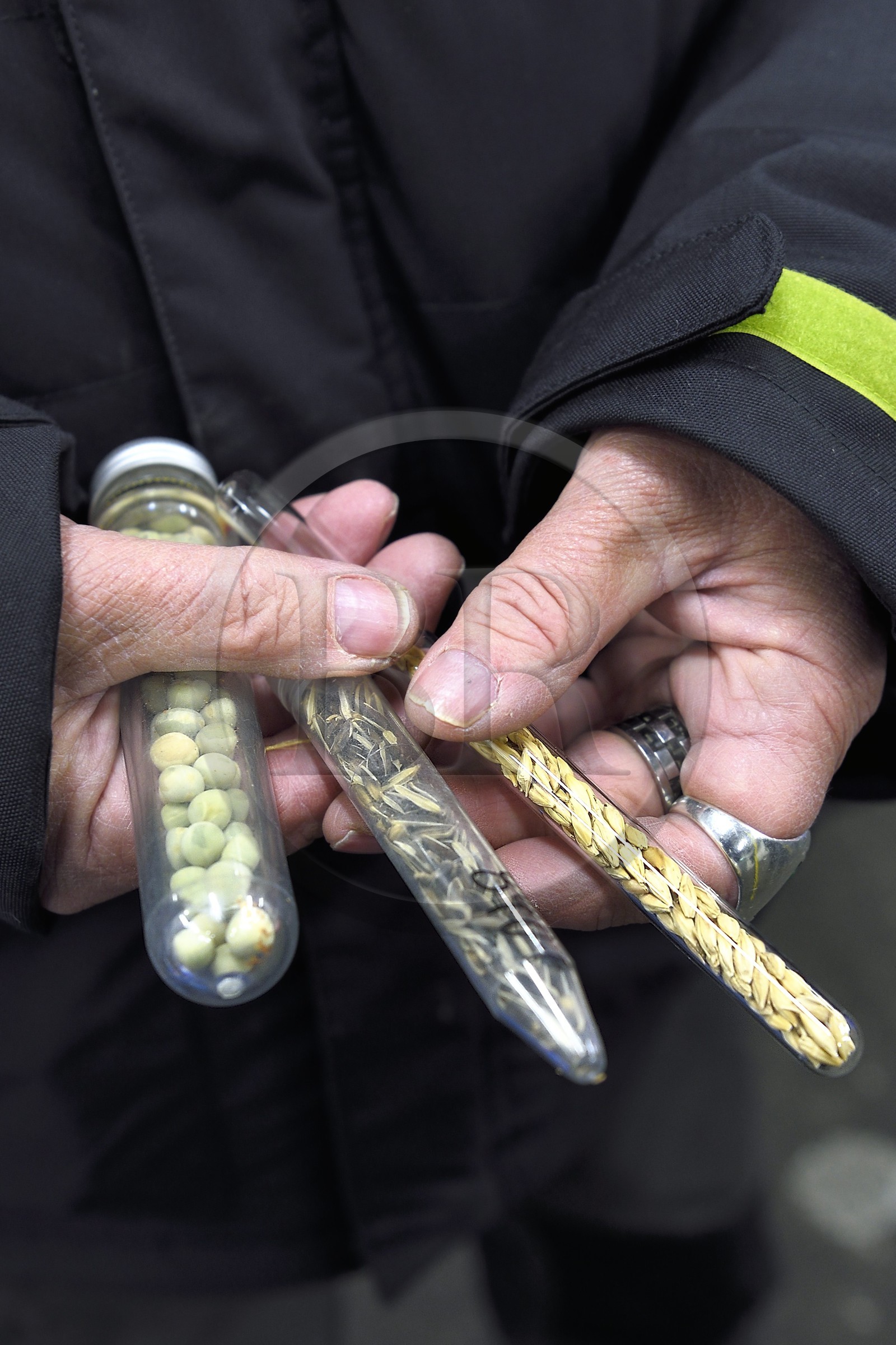 Norway, Svalbard, Spitzbergen, Longyearbyen, Svalbard Global Seed Vault (Seed Bank), seed storage room artificially maintained at -18°C, there are nearly 900000 samples deposited, from 200 countries of origin and 73 depositor institutes, former means of storing seeds in glass tubes, left is pea, middle is rice and right is barley