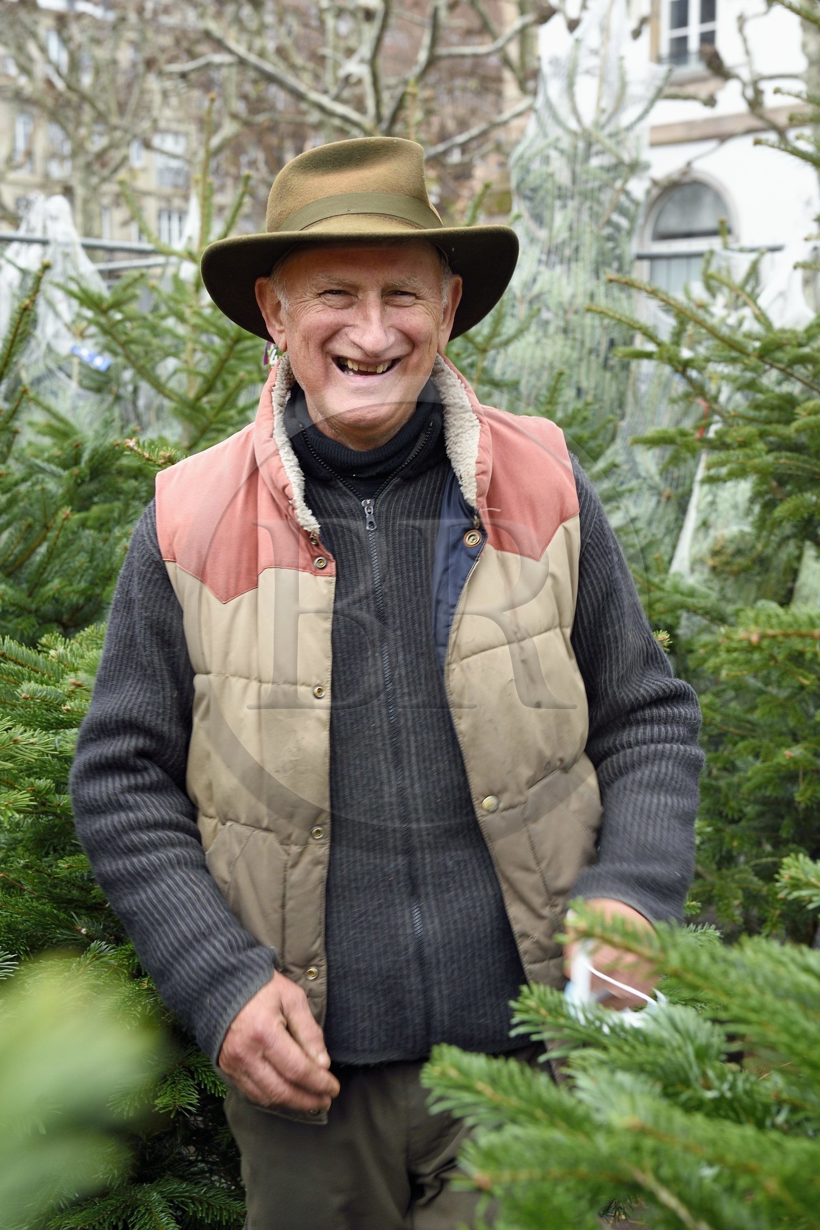 France, Bas-Rhin (67), Strasbourg, vieille ville classée au Patrimoine Mondial de l’UNESCO, Marché de Noel (Christkindelsmarik) de la place Broglie, Daniel Bailly vend des sapins pour la famille Schwoob implantée sur le marché de noël depuis de nombreuse années