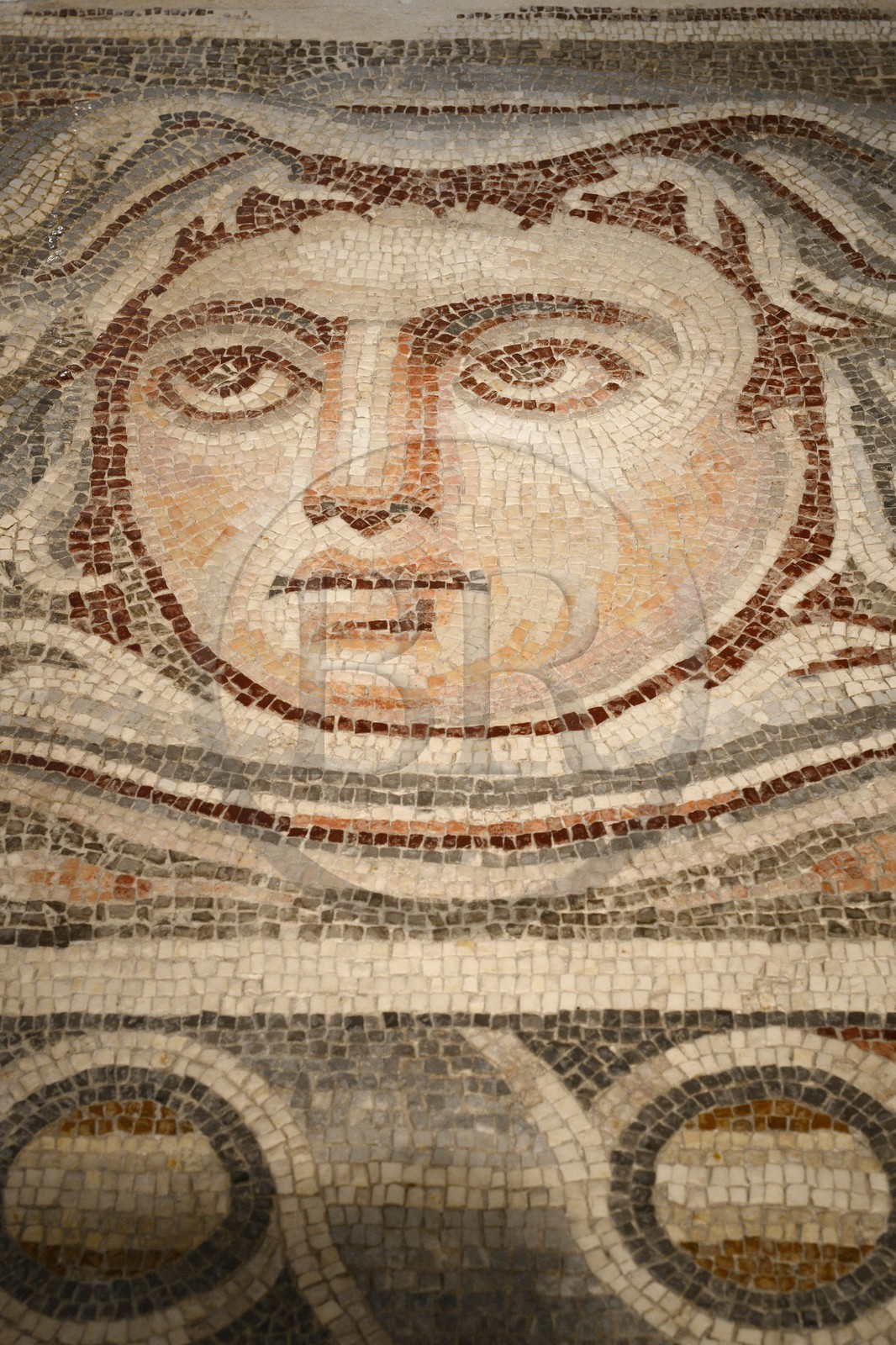 Israel, Jerusalem, Guivat Ram quarter, Israel Museum, department of archeology, detail of a mosaic of a Roman villa triclinium in Nablus from the third century