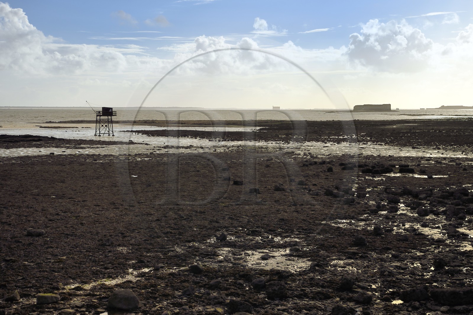 France, Charente-Maritime (17), Fouras, la Pointe de la Fumée à marée basse, le Fort Enet et le Fort Boyard en arrière plan
