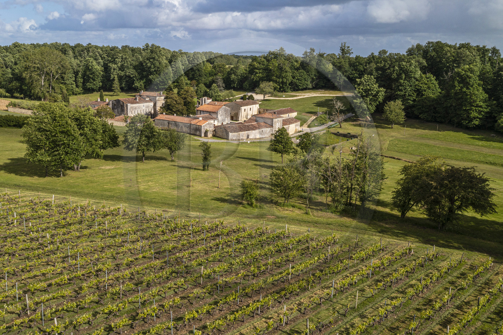 France, Charente-Maritime (17), Saint-Bris-des-Bois, abbaye de Fontdouce, ancienne abbaye bénédictine fondée en 1111 en bordure du vignoble(vue aérienne)