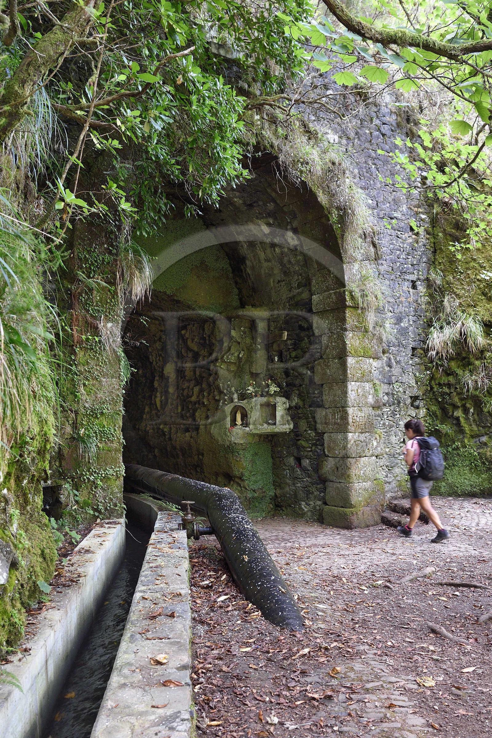 Portugal, Madeira Island, hike in the forest of Rabaçal, connection tunnel to the Calheta valley via the Levada da Rocha Vermelha
