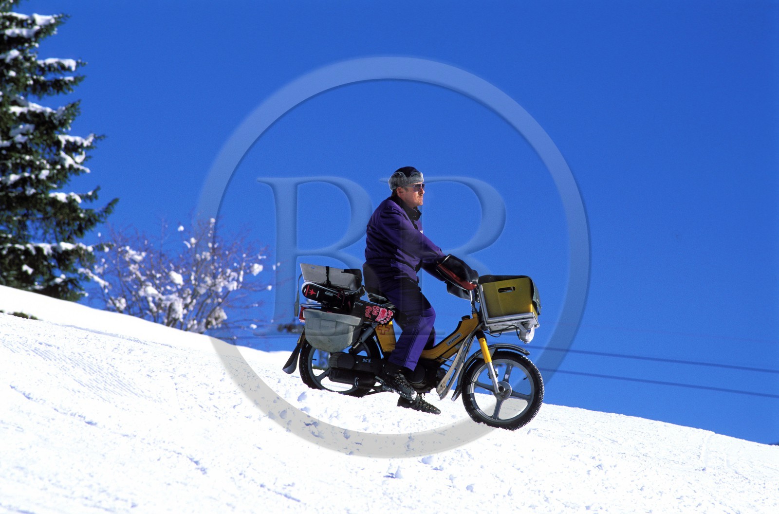 Switzerland, Bern Region (Bernese Oberland), Grindenwald, postman delivering on snow