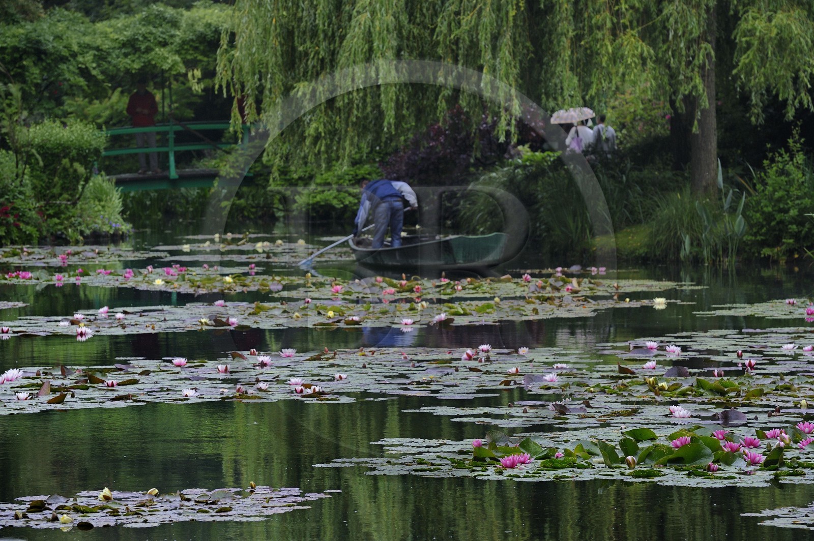 France, Eure (27), Giverny, le jardin de Claude Monet, le Jardin d'Eau