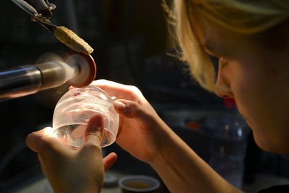 France, Moselle (57), Saint-Louis-les-Bitche, la Cristallerie Saint-Louis, ateliers de taille et de gravure, gravure à la roue