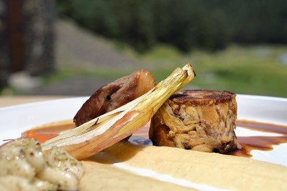 France, Hautes-Pyrénées (65), Saint-Lary-Soulan, vallée du Rioumajou, l'hospice du Rioumajou devenu refuge et restaurant