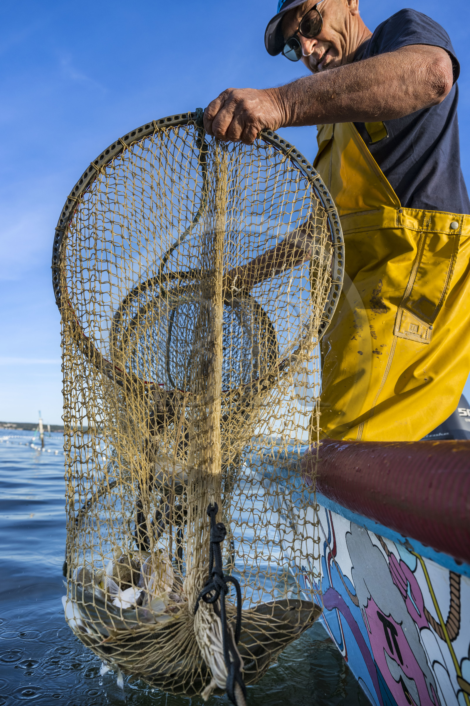 France, Hérault (34), Sète, quartier de la Pointe Courte, le pêcheur Robert Rumeau relève ses filets sur l'étang de Thau