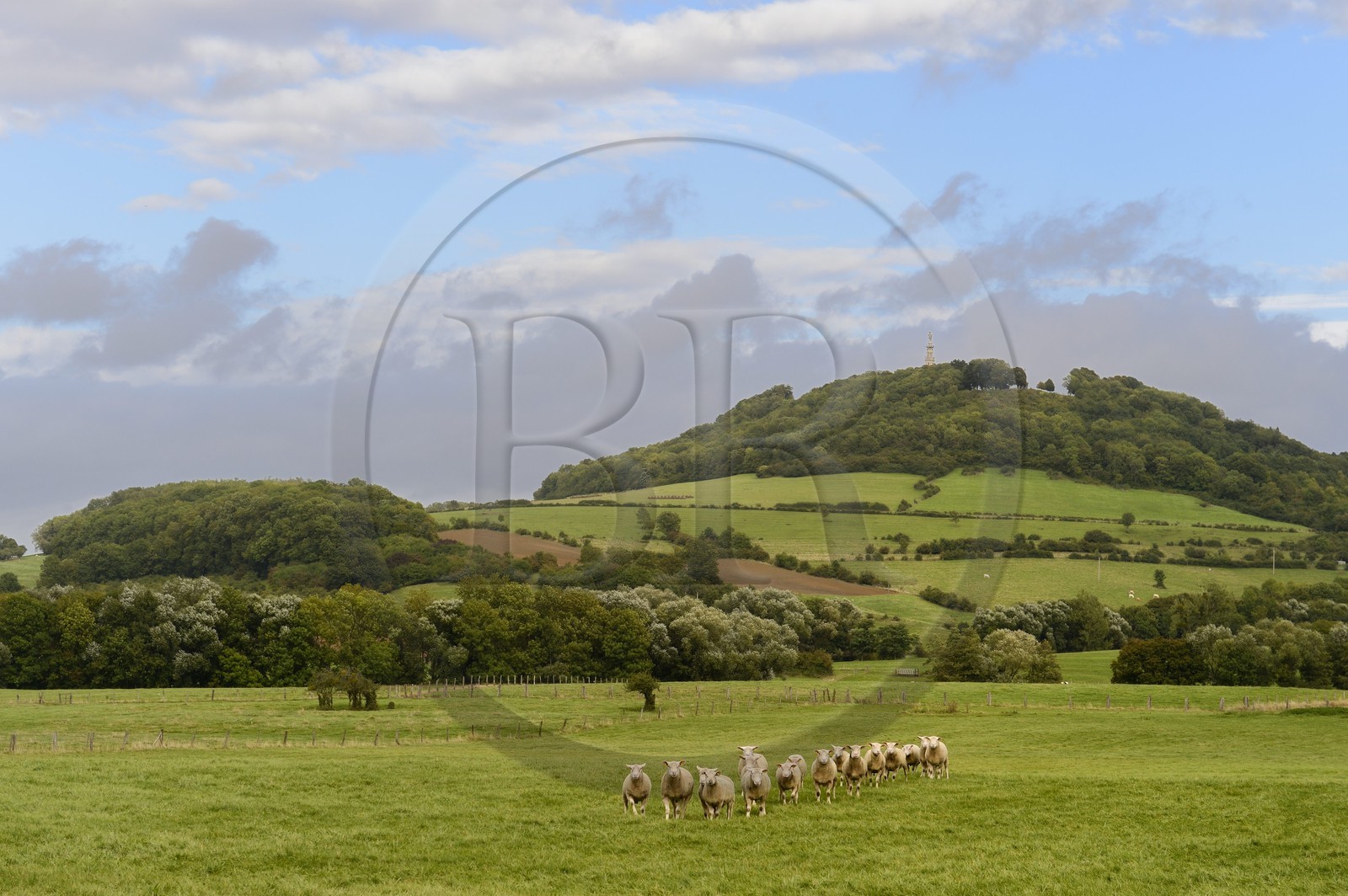 France, Meurthe-et-Moselle, Saintois region, colline de Sion-Vaudemont (hill of Sion)