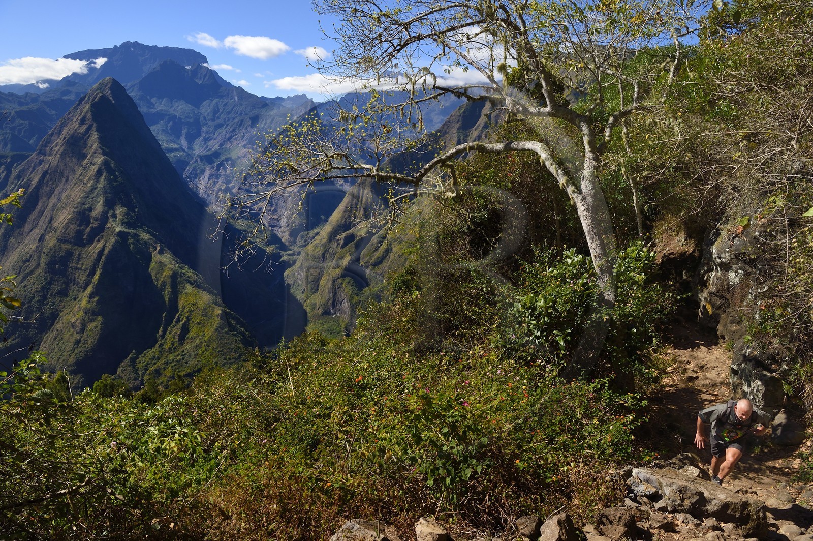 France, Ile de la Reunion, Parc National de la Réunion classé Patrimoine Mondial de l'UNESCO, La Possession, vers le village de Dos d'Ane, randonnée de la Roche Bouteille, randonneur sur le sentier Cap Noir et Piton Cabris dans le Cirque de Mafate à gauche