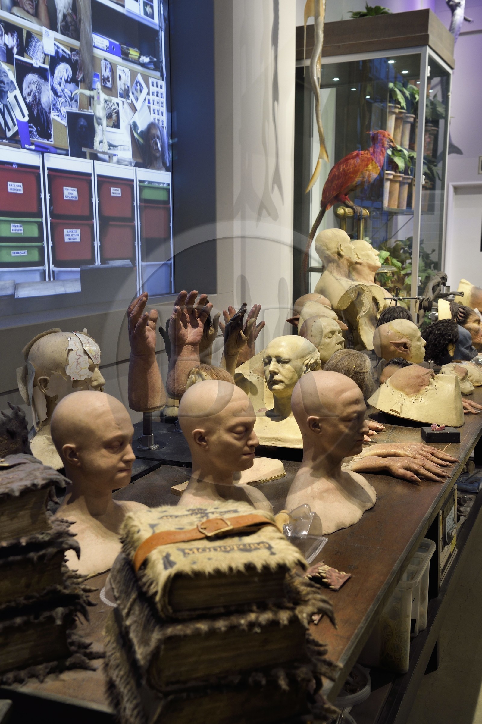 United Kingdom, Hertfordshire, Leavesden, Leavesden Film Studios, Harry Potter Studio Tour London, the scene of the eight Harry Potter movies' making of, creatures special effects making of