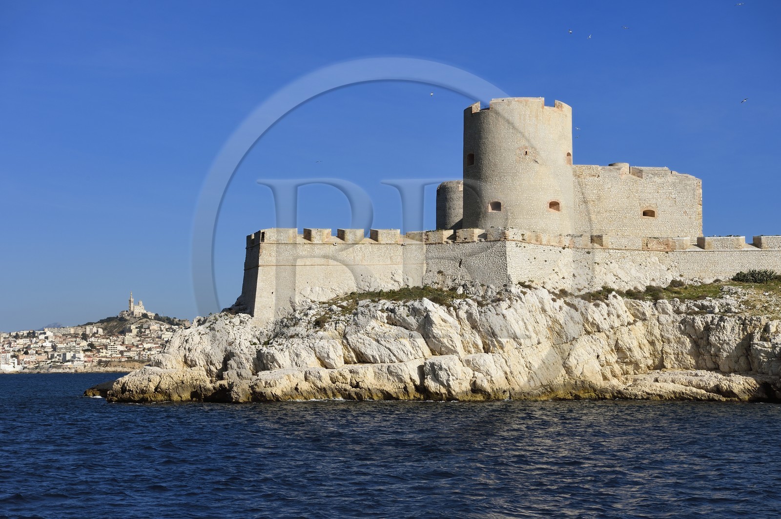 France, Bouches-du-Rhône (13), Marseille, Parc National des Calanques, Archipel des Iles du Frioul, le Chateau d'If et la basilique Notre Dame de la Garde en arrière plan