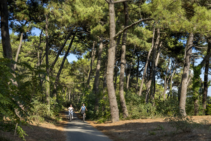 France, Charente-Maritime (17), Royan, Les Mathes, cyclistes sur la Vélodyssée, la piste cyclable EuroVelo1 qui longe l’Atlantique au nord de La Palmyre