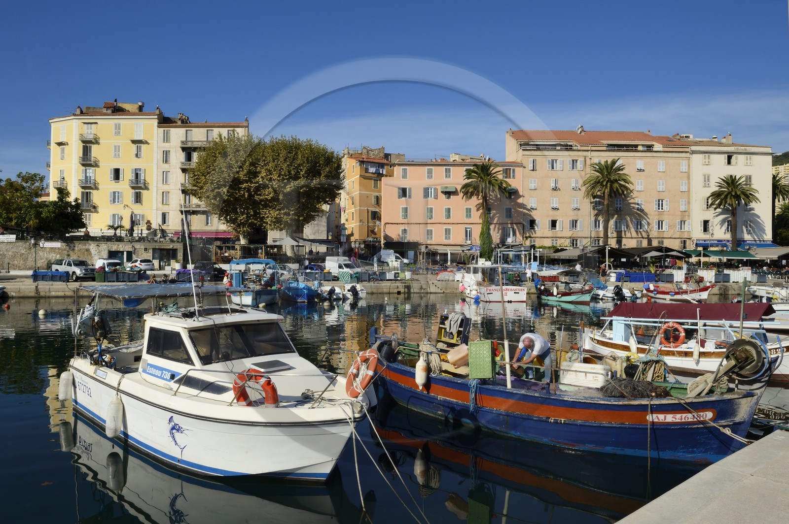 France, Corse-du-Sud (2A), Ajaccio, le port de pêche Tino Rossi  et le quai Napoleon