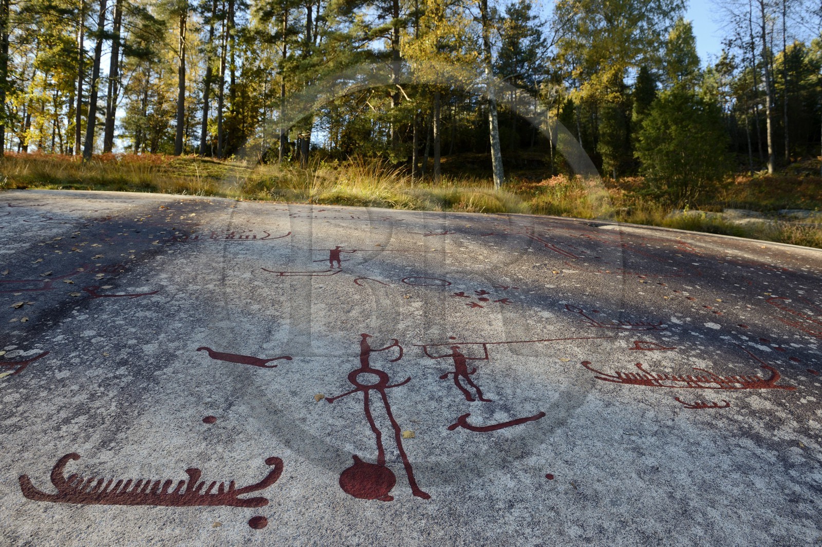Sweden, Bohuslan County, Tanum Vitlycke rock carvings, listed as World Heritage by UNESCO