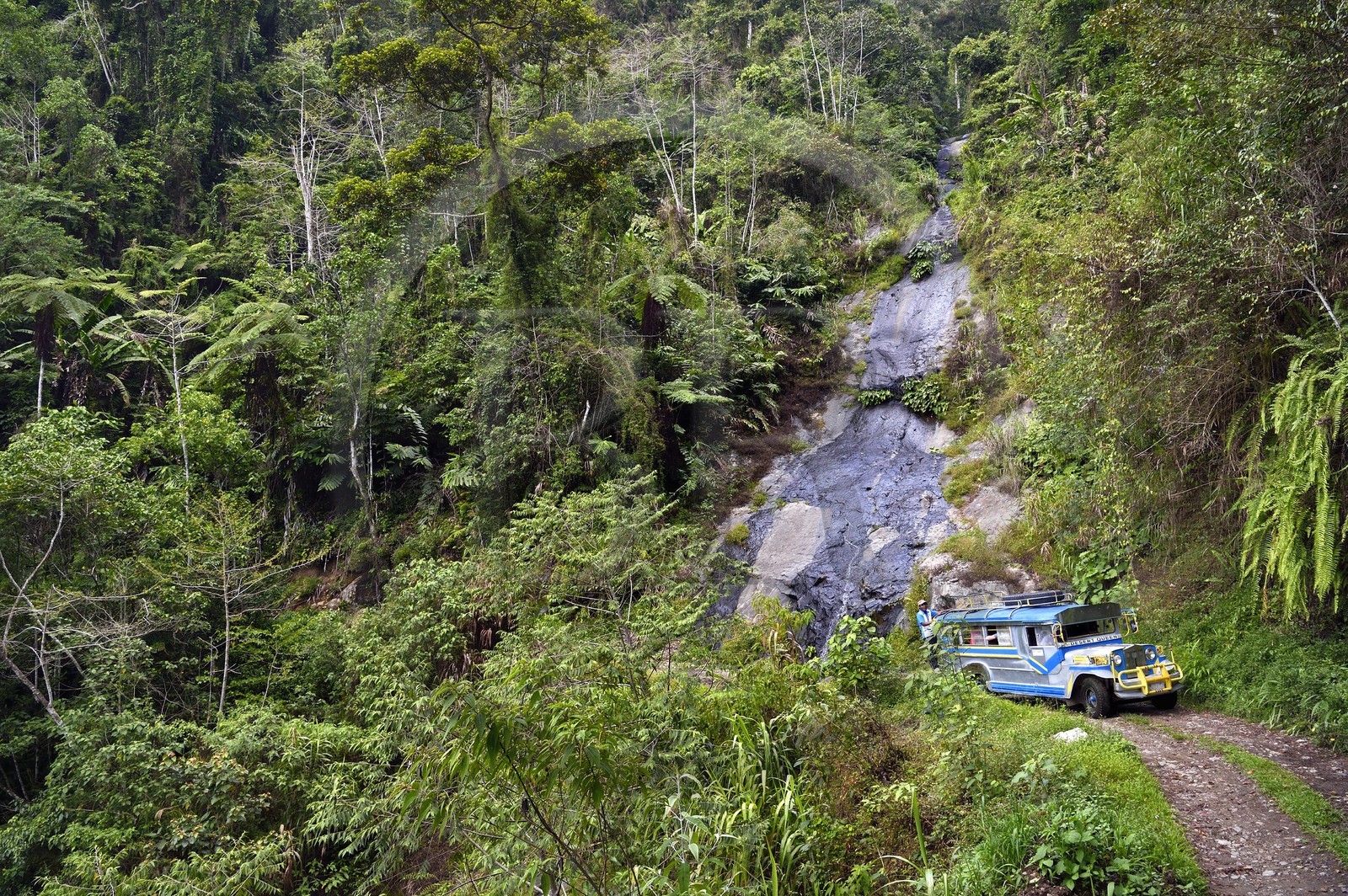 Philippines, province d'Ifugao, région de Banaue, jeepney (jeep allongée pour le transport de passagers) progressant sur une piste de montagne vers Cambulo