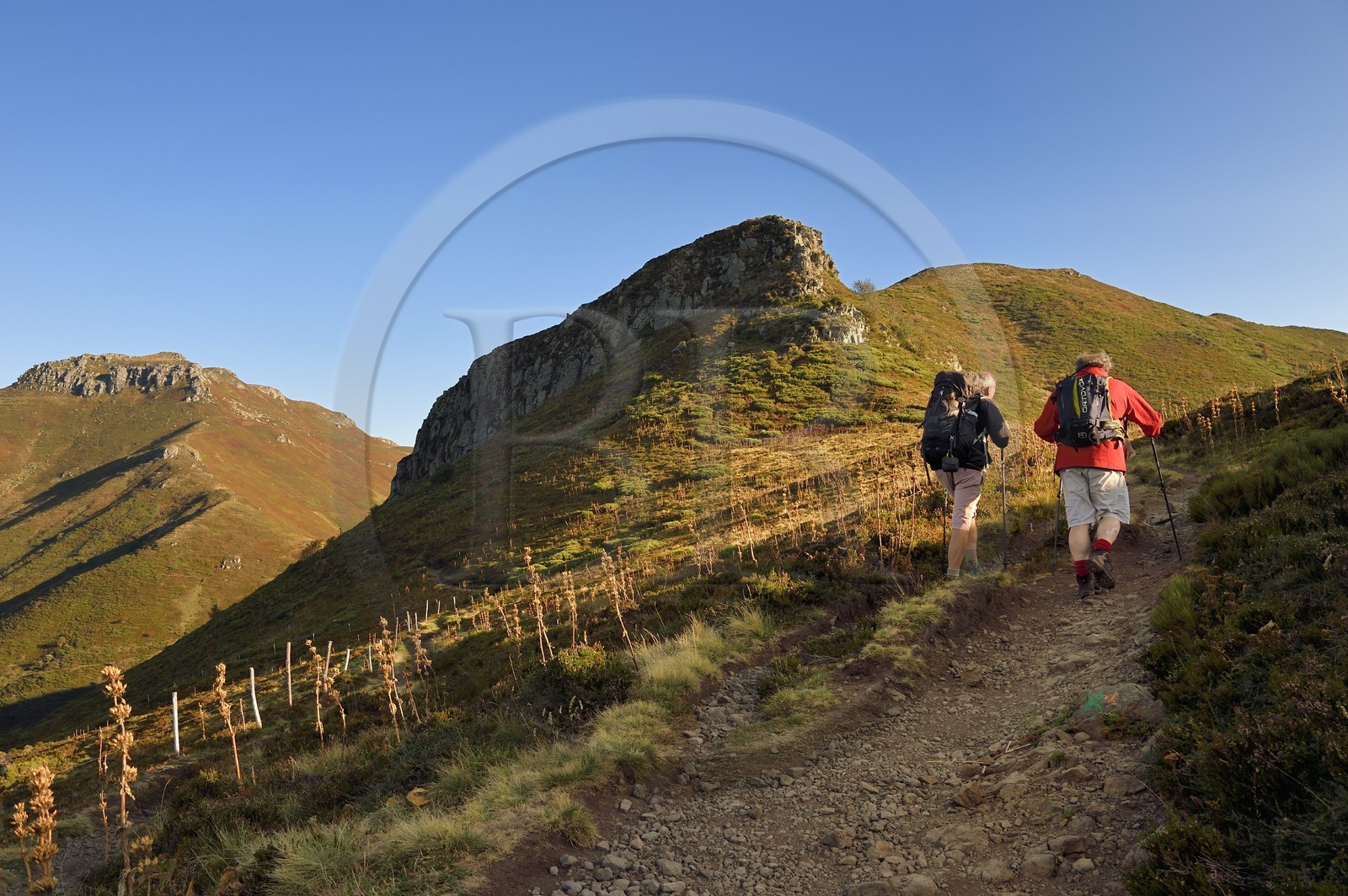 France, Cantal (15), Parc Naturel Régional des Volcans d'Auvergne, Le Lioran, col de Rombière, randonneurs sur le chemin de Saint-Jacques de Compostelle par la Via Arverna, le puy de Peyre Arse à gauche puis le col de Cabre et le Puy Bataillouse à droite en arrière plan