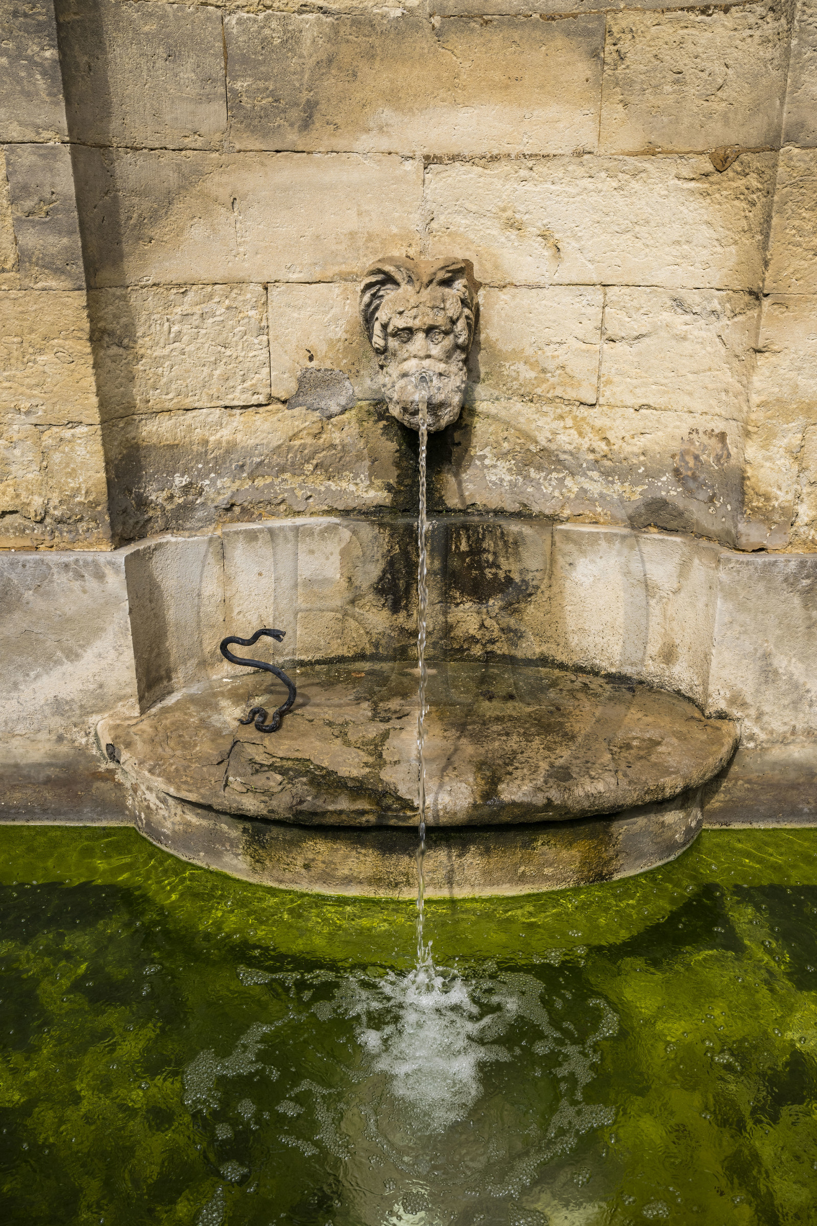 France, Hérault (34), Montpellier, centre historique appelé l’Ecusson, L'Hotel Haguenot, hotel particulier appelée folie montpelliéraine de la deuxième moitié du XVIIIème siècle, la fontaine monumentale