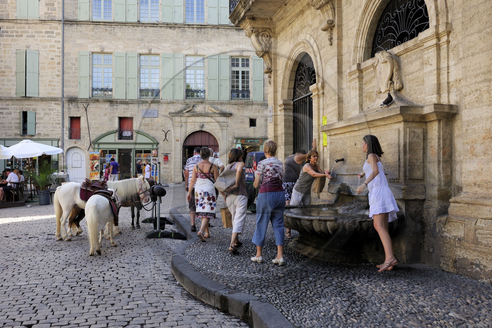 France, Hérault (34), Pézenas, fontaine de l'ancien hôtel de ville dit maison consulaire actuellement maison des Métiers d'Art place Gambetta à droite et hôtel de Flottes de Sébasan à l'arrière