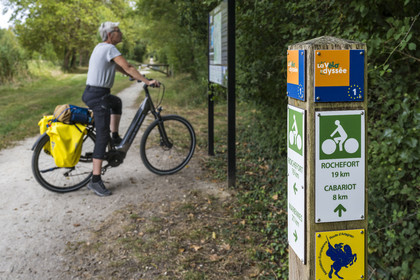 France, Charente-Maritime (17), Echillais, cycliste sur la véloroute vélodyssée