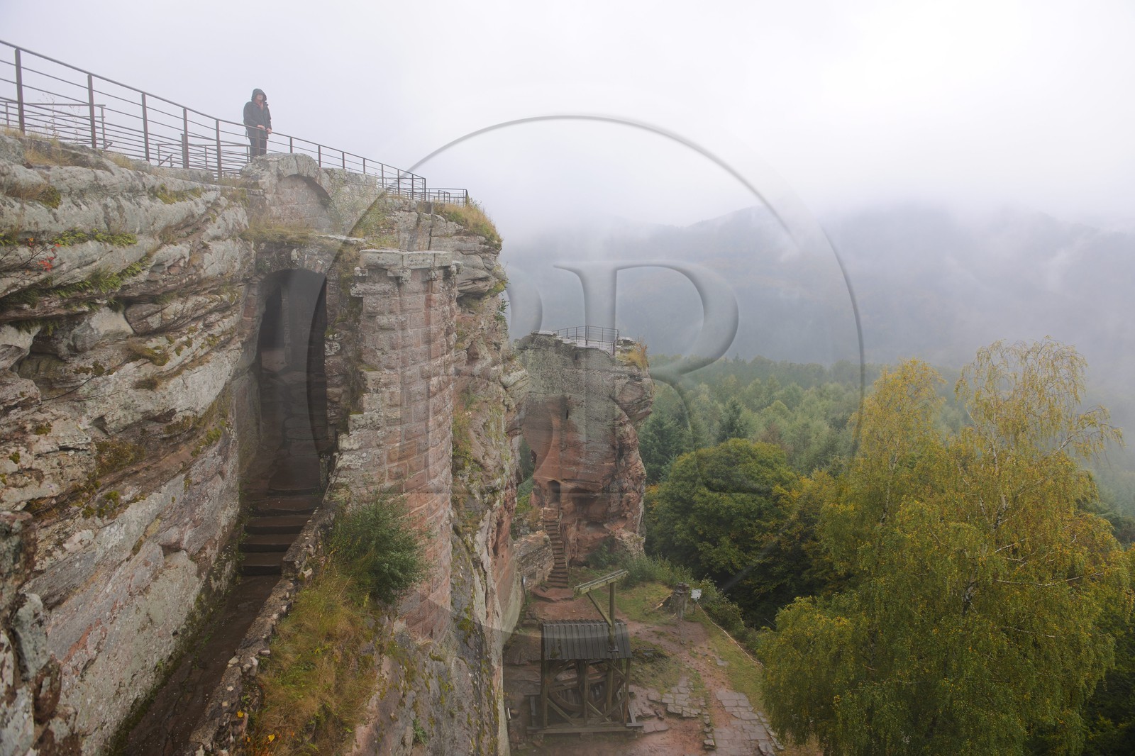 France, Bas-Rhin (67), château de Fleckenstein