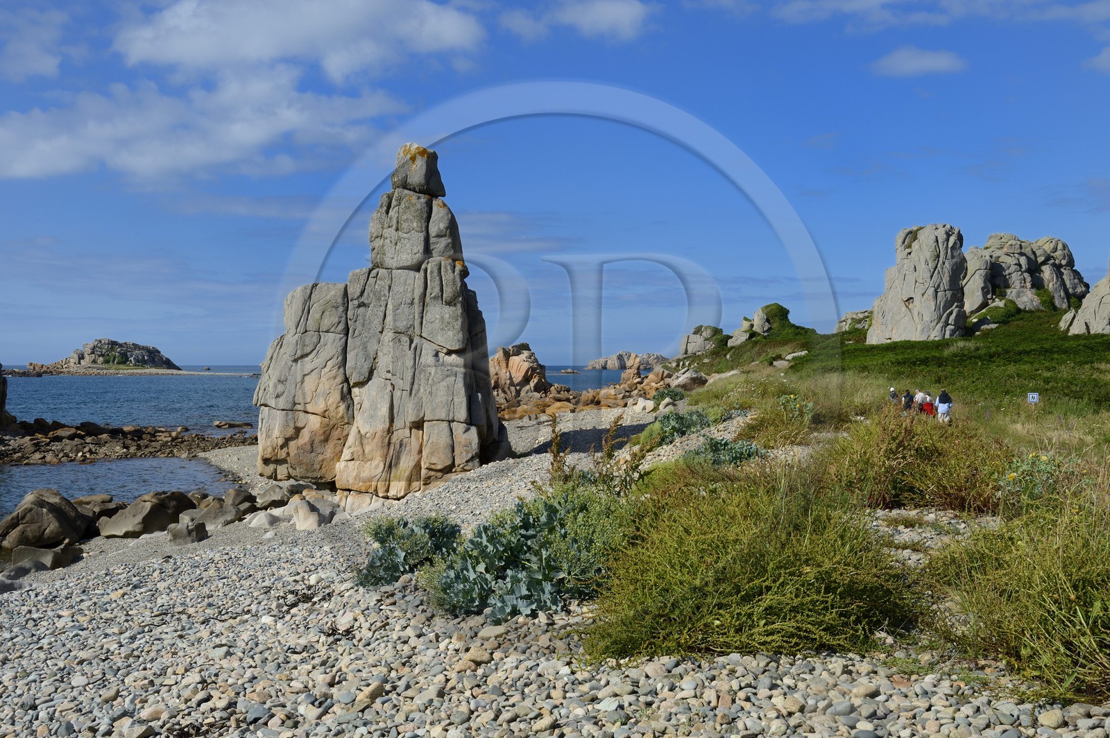 France, Côtes-d'Armor (22), Côte d'Ajoncs, Plougrescant, Anse de Pors Scaff