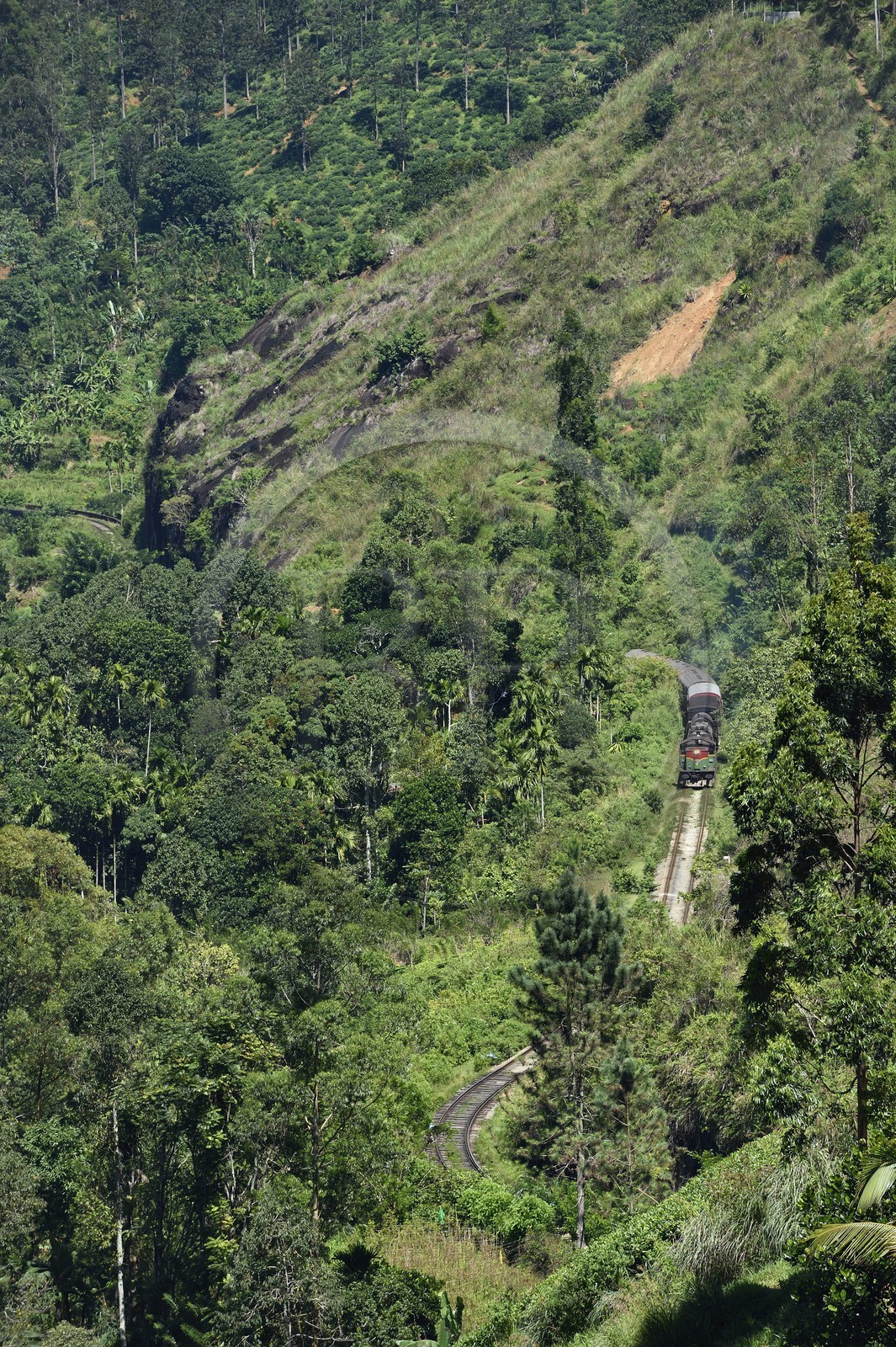 Sri Lanka, Province d'Uva, train sur la voie de chemin de fer dans la région montagneuse de la culture du thé non loin de Ella (Badulla district)