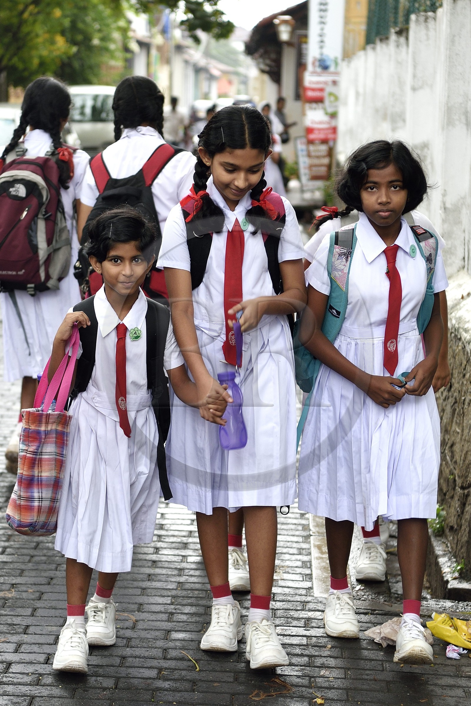 Sri Lanka, Province du Sud, Fort de Galle, classé Patrimoine Mondial de l'UNESCO, en route pour l'école de filles Southlands College (méthodiste)