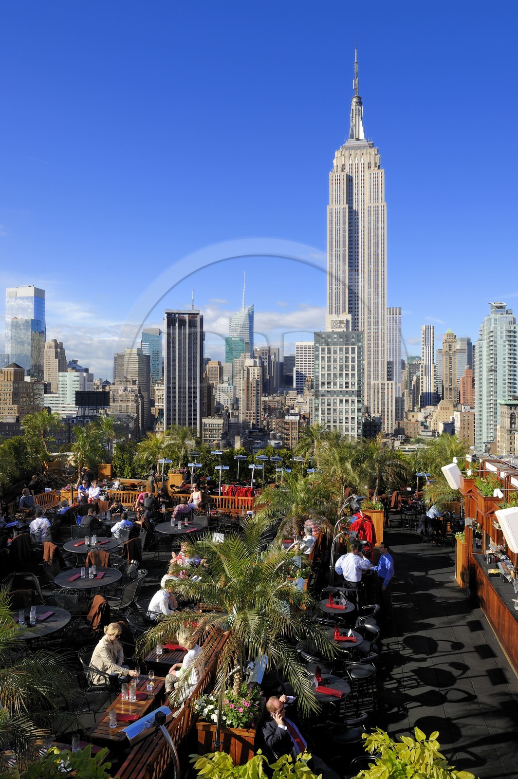 Etats-Unis, New York, Manhattan, Midtown, terrasse du café branché Le 230 sur la 5ème Avenue et l'Empire State Building