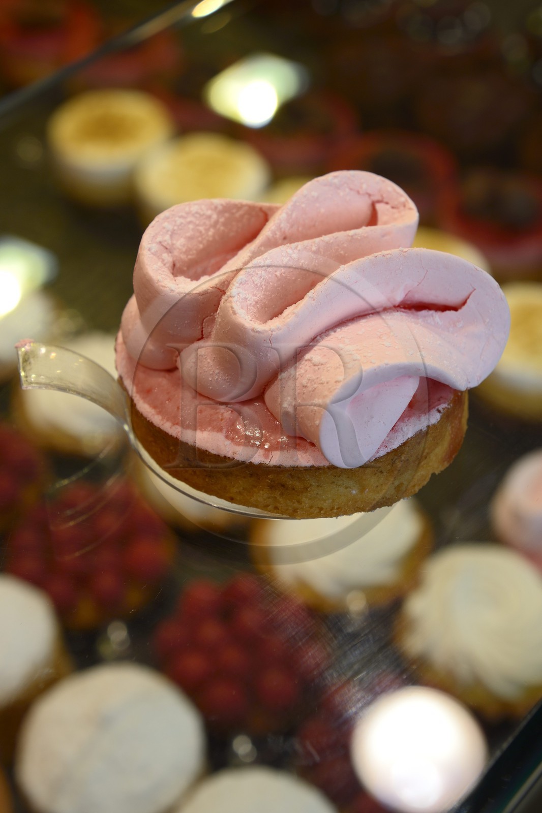 France, Meurthe-et-Moselle, Nancy, bakery and pastry Stef, the rosebush (rose meringue)