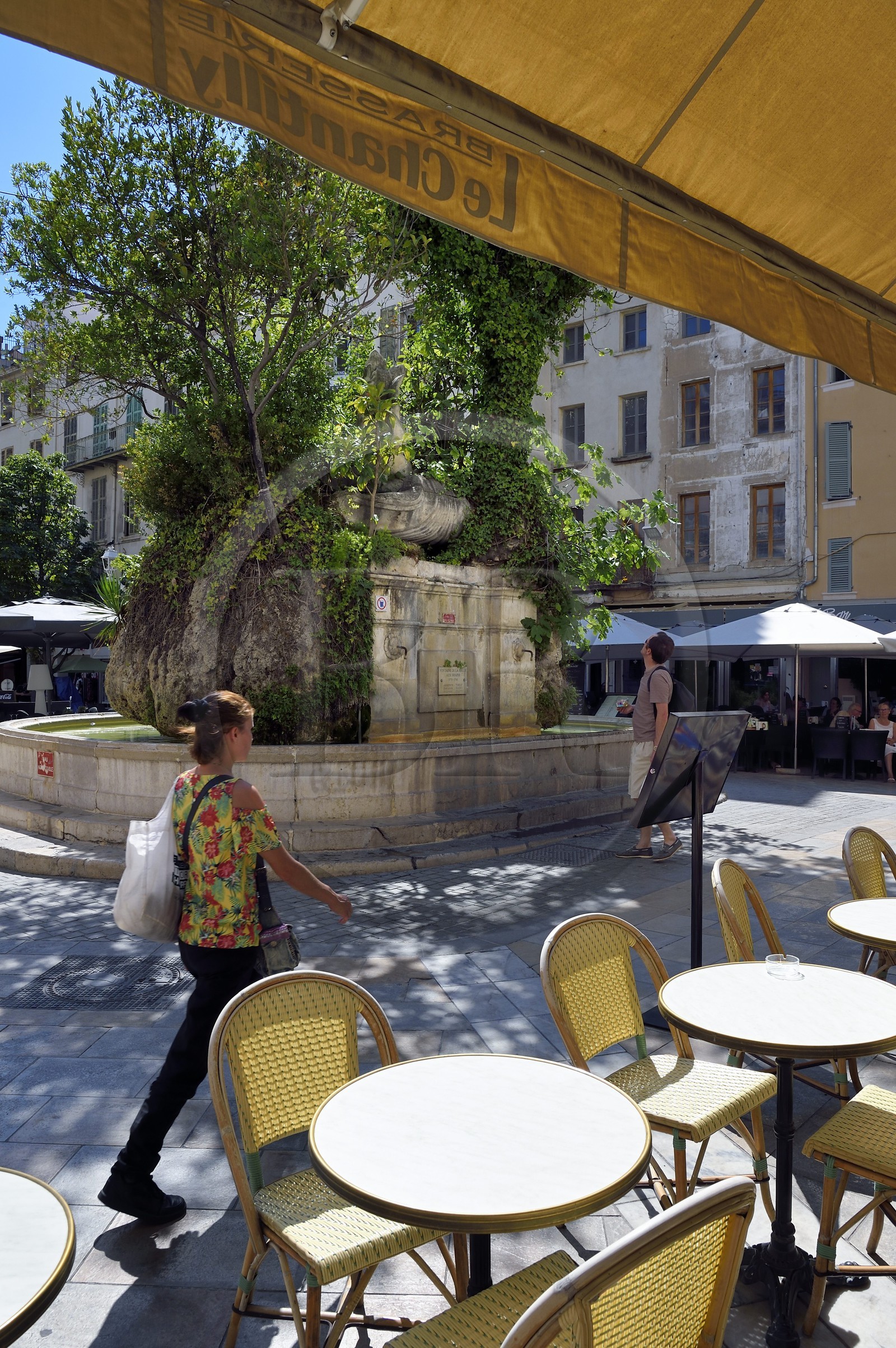 France, Var, Toulon, place Puget, Brasserie Le Chantilly and fountain of the Halle aux Grains