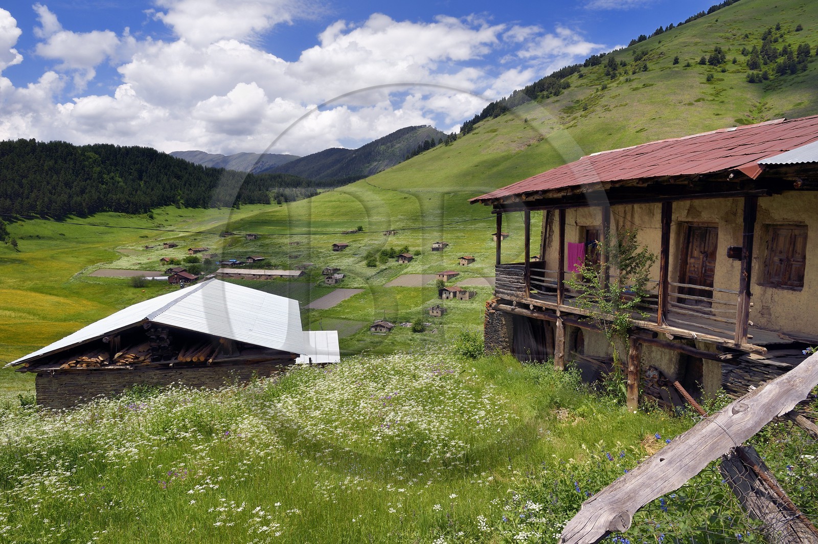Géorgie, Kakheti, Parc national de Touchétie, village de Shenako