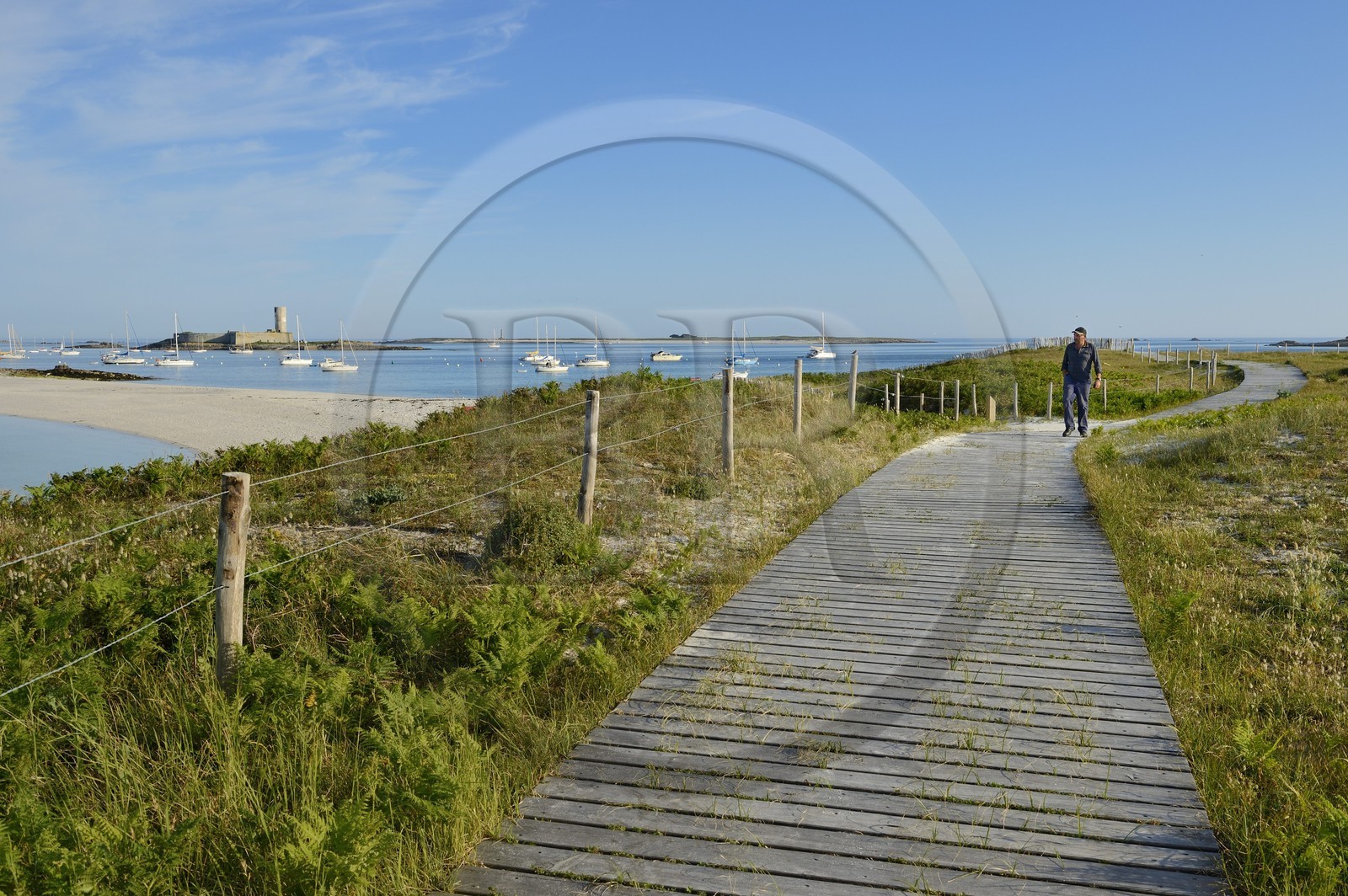 France, Finistere, La Foret Fouesnant, Glenan islands, St Nicolas Island,