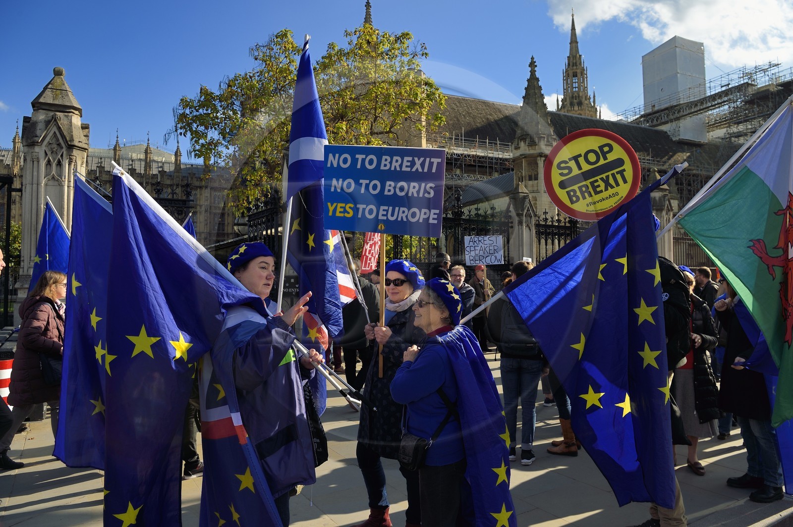 United Kingdom, London, City of Westminster, protest against Brexit in UK Parliament, European flag