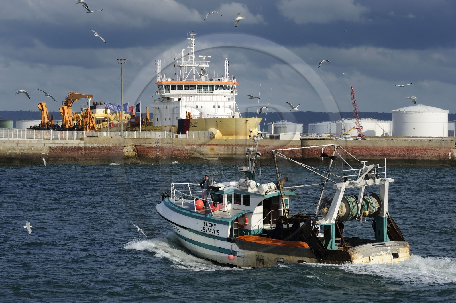 France, Seine Maritime, Le Havre, fishing boat returning to port followed by a flock of seagulls