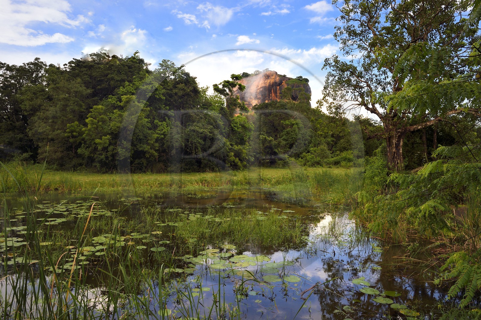 Sri Lanka, Central Province, Matale District, Sigiriya, Old city of Sigiriya listed as World Heritage by UNESCO, Rock of the Lion