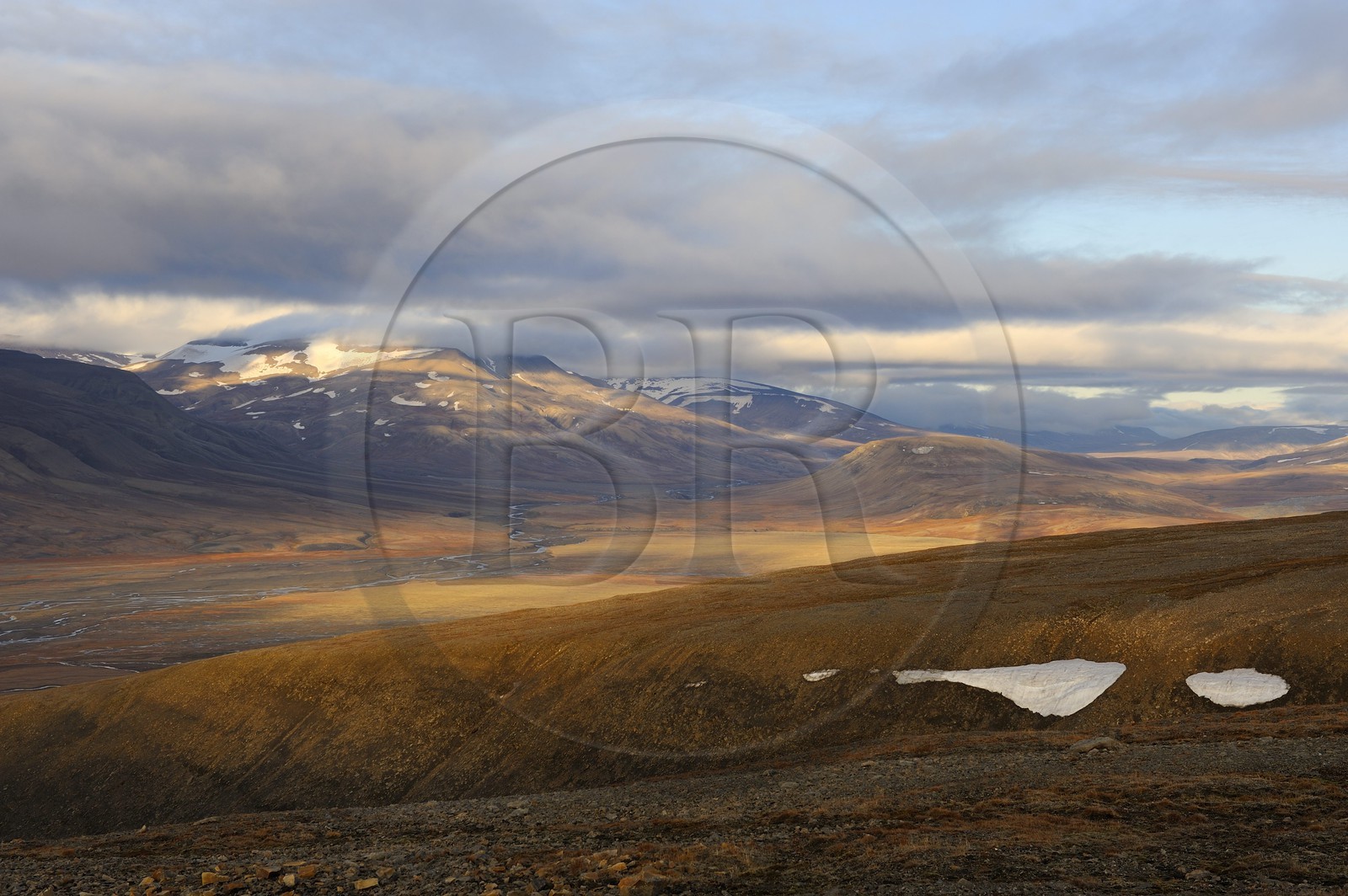 Norvège, Svalbard (Spitzberg), toundra dans la région de Longyearbyen