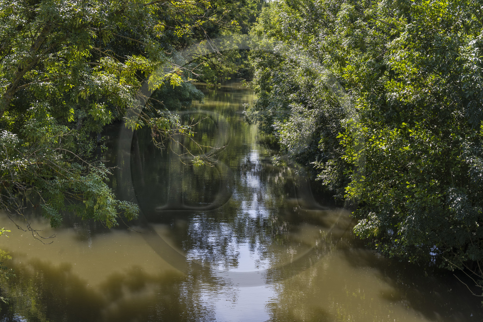 France, Deux-Sèvres (79), le Marais Poitevin, la Venise Verte, Le Vanneau-Irleau, un des innombrables canaux