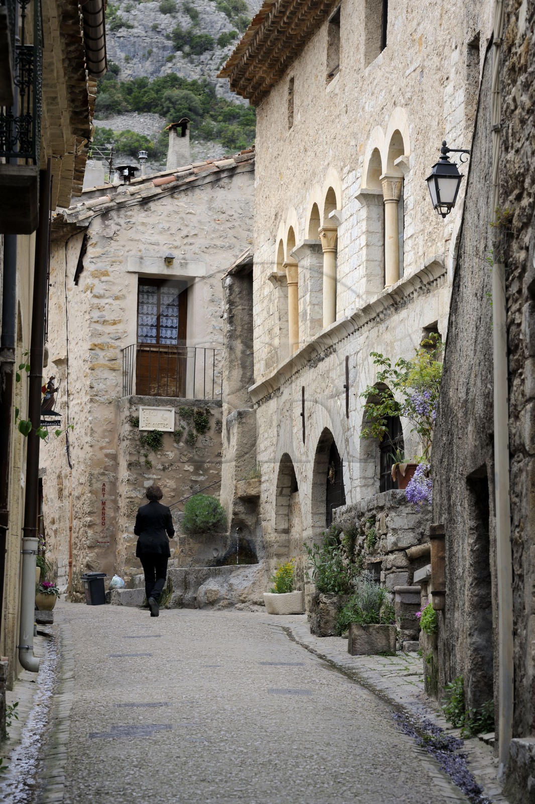 France, Hérault (34), village médiéval de Saint-Guilhem-le-Désert, labellisé Les Plus Beaux Villages de France, Maisons Lorimi et Sandonato dans la rue de la Chapelle des Pénitents