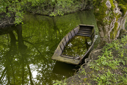 France, Vendée (85), Bouillé-Courdault, barque dans les marais sous les feuillages