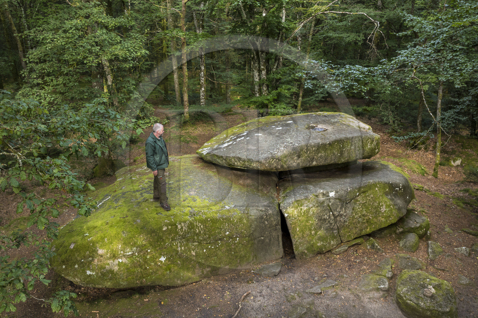 France, Nièvre (58), Parc naturel régional du Morvan, Dun-les-Places, lieu dit Dolmen de Chevresse, chaos granitique formé par l’érosion, dans la forêt de Breuil-Chenue, le garde-forestier à l’ONF Arnaud Chassaigne (vue aérienne)