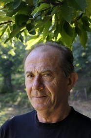 France, Haute-Corse (2B), Castagniccia, Valle d’Orezza, Hector Giudicelli castanéiculteur dans sa chataigneraie