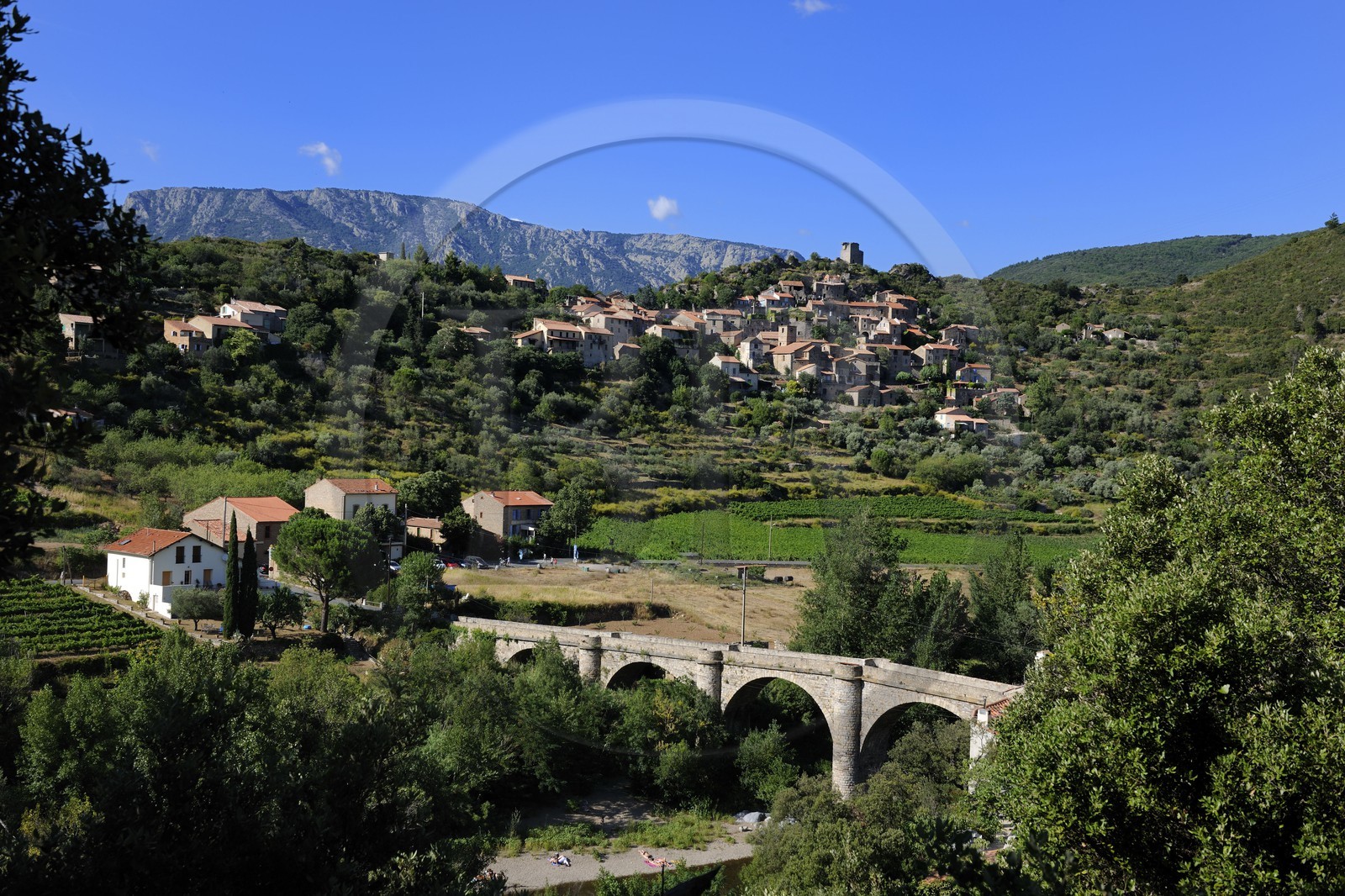 France, Hérault (34), vallée de l' Orb, village de Vieussan au lointain et vignoble AOC Saint-Chinian & Roquebrun