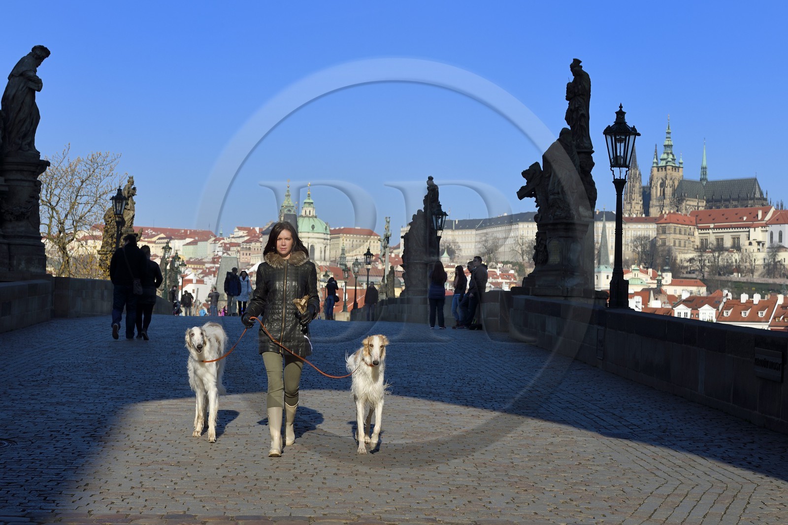 République Tchèque, Prague, centre historique classé Patrimoine Mondial de l' UNESCO, femme promenant ses chiens sur le pont Charles