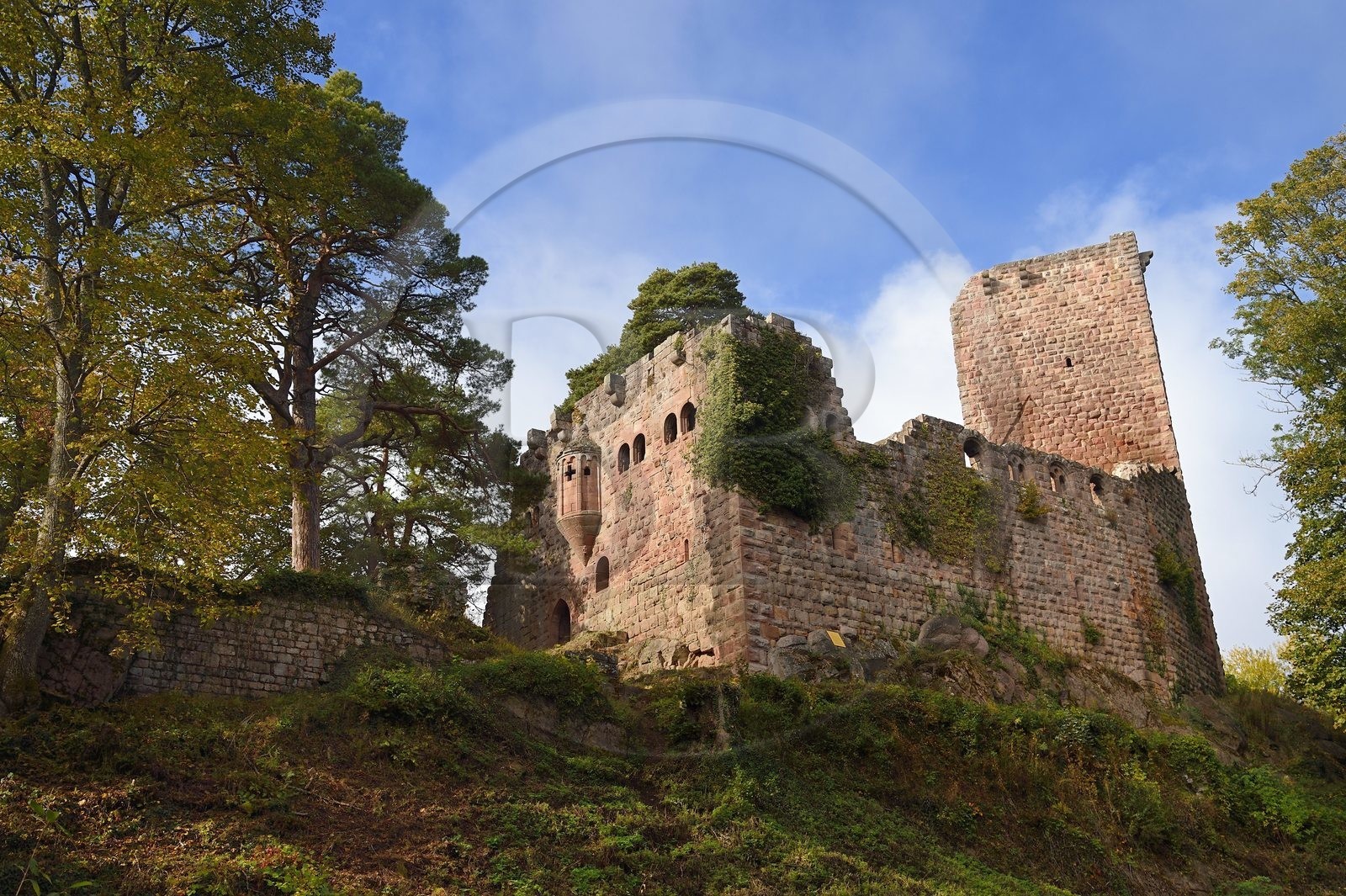 France, Bas-Rhin (67), Heiligenstein, chateau du Landsberg du XIIIème siècle, logis seigneurial et oriel qui abrite le chœur de la chapelle castrale