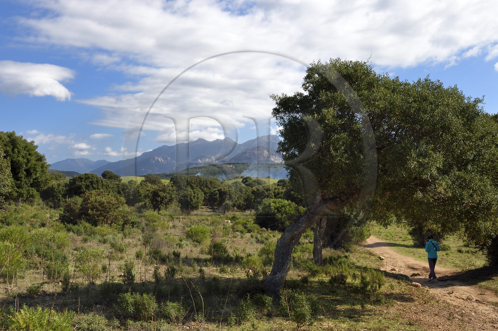 France, Corse du Sud, Sartene, archaeological site of Cauria