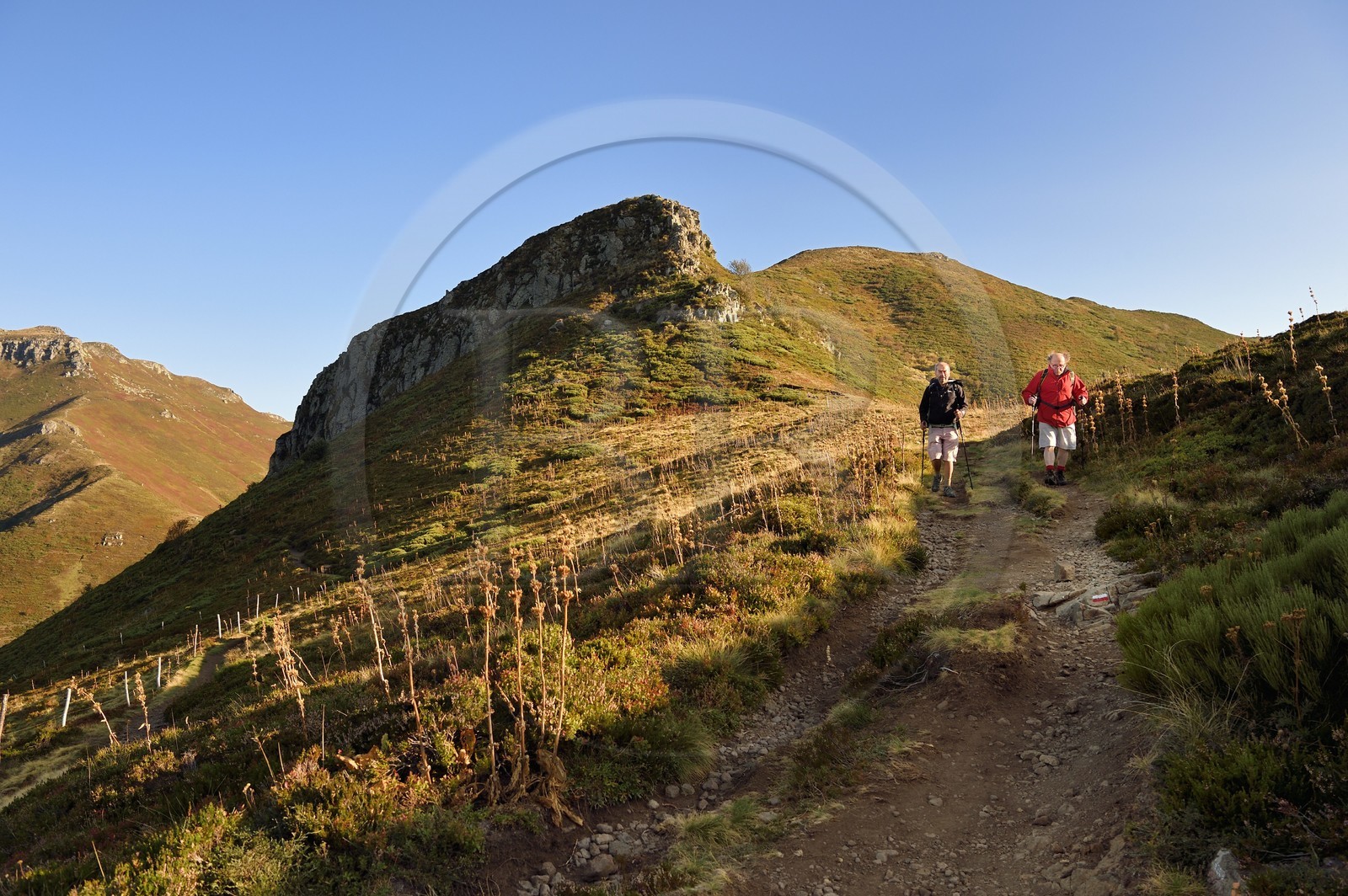 France, Cantal, Parc Naturel Régional des Volcans d'Auvergne (regional nature park of Auvergne volcanoes),  Le Lioran, col de Rombiere (mountain pass), hikers on the Way of St. James to Santiago de Compostela by Via Arverna, the col de Cabre and the Puy Bataillouse in the background