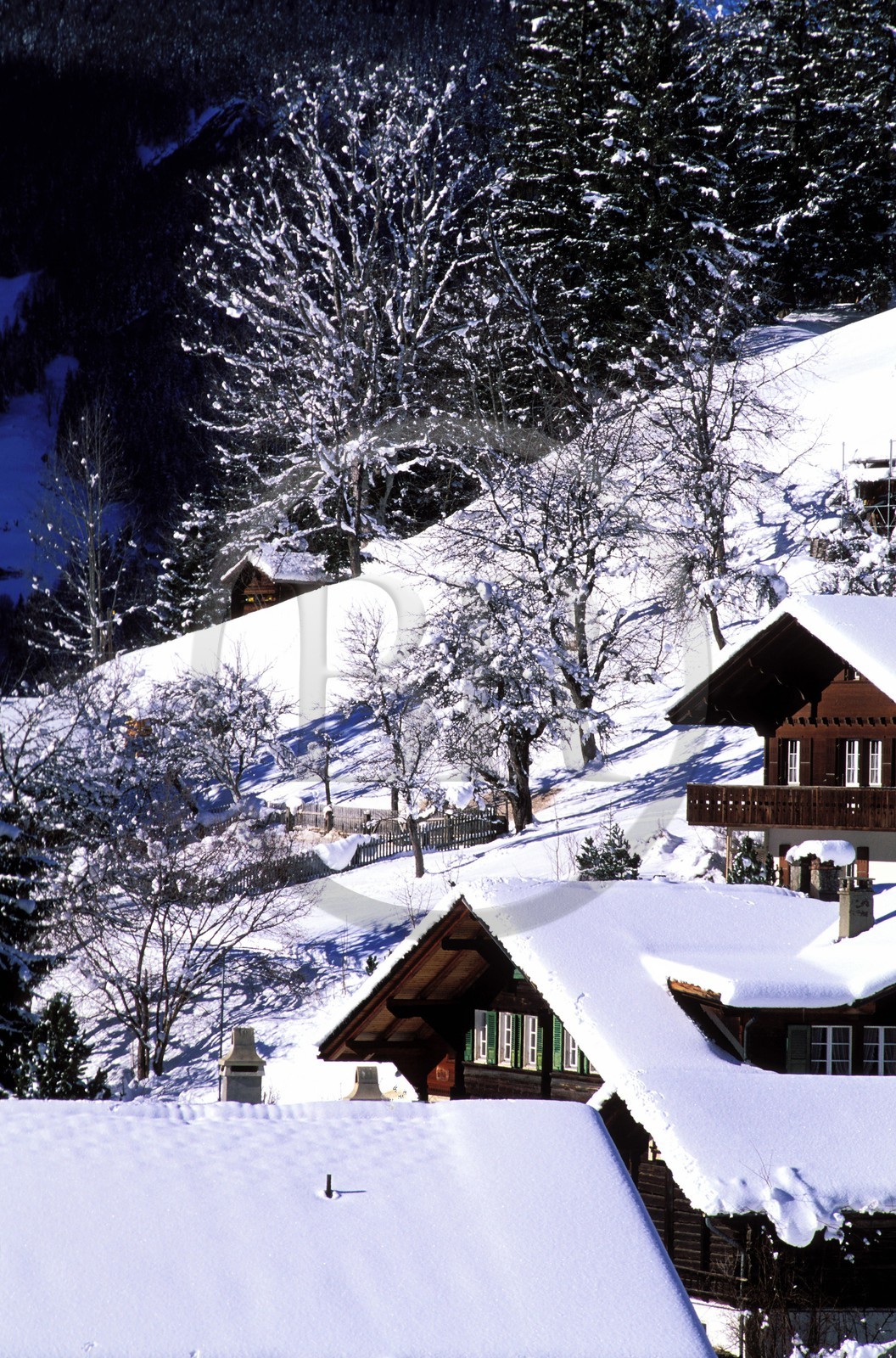 Suisse, région de Bern (Oberland Bernois), un chalet à Grindelwald