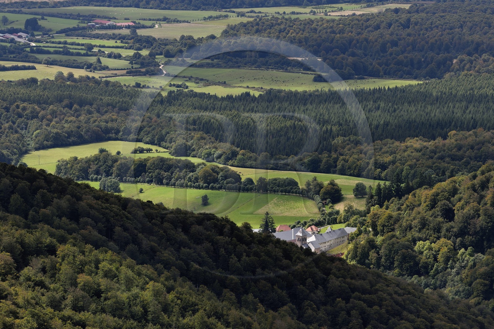 Espagne, Pays-Basque, Navarre, chemin de Saint-Jacques de Compostelle dans la descente vers Roncevaux, la Collégiale royale de Roncevaux