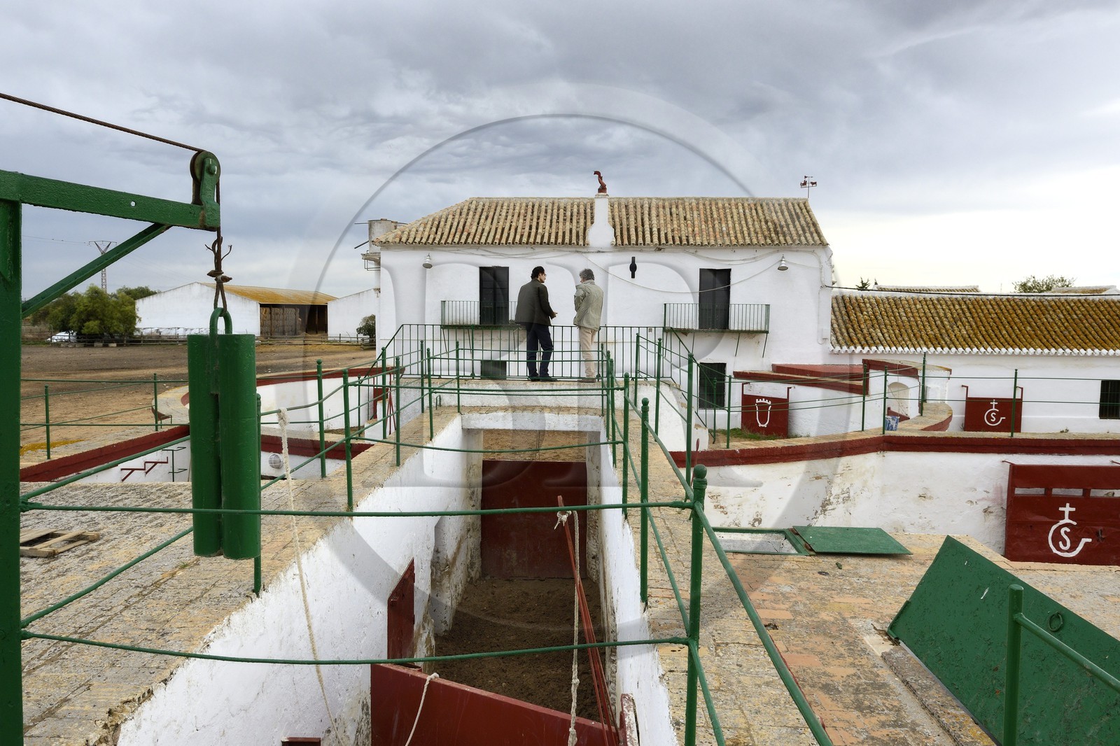 Espagne, Andalousie, province de Séville, Utrera, domaine El Toruno, élevage de taureaux de combat, une des arenes d'entrainements